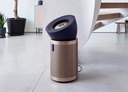 Dyson Purifier Big+Quiet Formaldehyde BP04 (Prussian Blue/Gold)