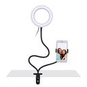 S-link SL-SF100 6 inch 12W Youtuber Makeup Ring LED Light With Phone Holder